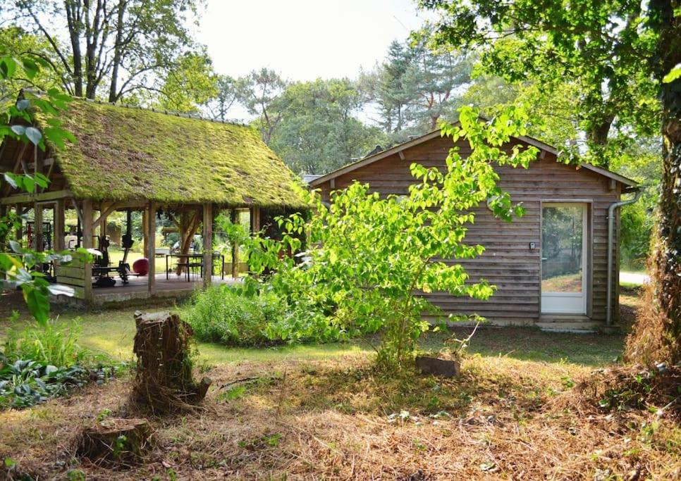 Chalet Cosy Au Coeur De La Foret De Broceliande Beignon Zewnętrze zdjęcie
