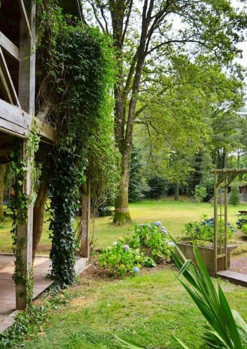 Chalet Cosy Au Coeur De La Foret De Broceliande Beignon Zewnętrze zdjęcie