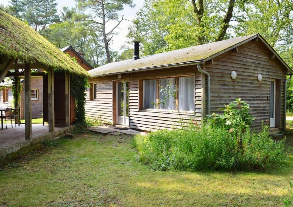 Chalet Cosy Au Coeur De La Foret De Broceliande Beignon Zewnętrze zdjęcie